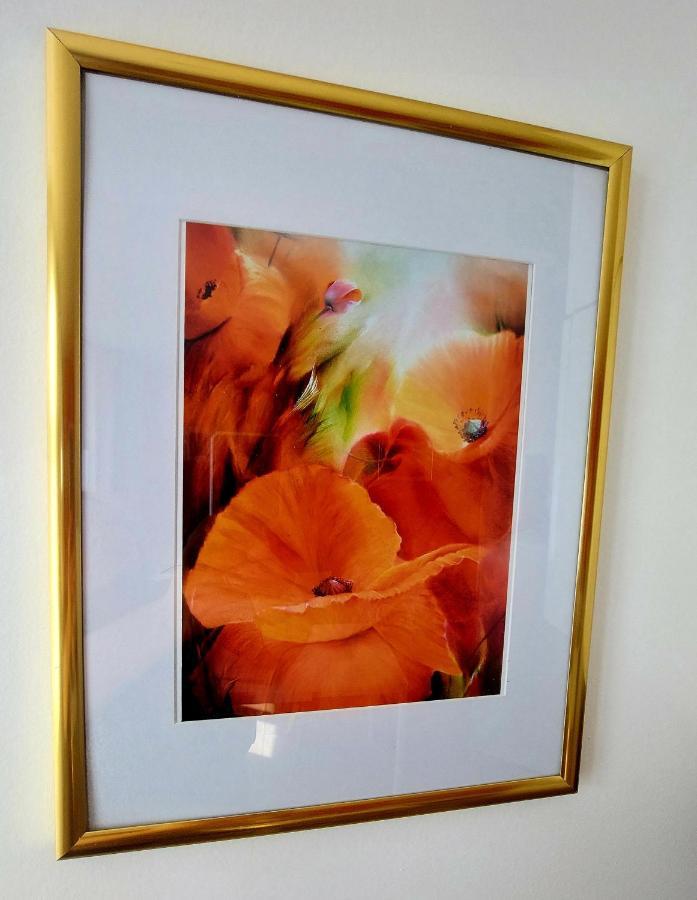 Les Belles Terrasses Dieppe ,3 Appartements , Le Vegetal De 1 A 8 Personnes , Le Tropical De 1 A 6 Personnes , Le Floral Avec Terrasse De 1 A 3 Personnes , Quartier Calme Au Stationnement Gratuit A Cote De L'Avenue Verte מראה חיצוני תמונה